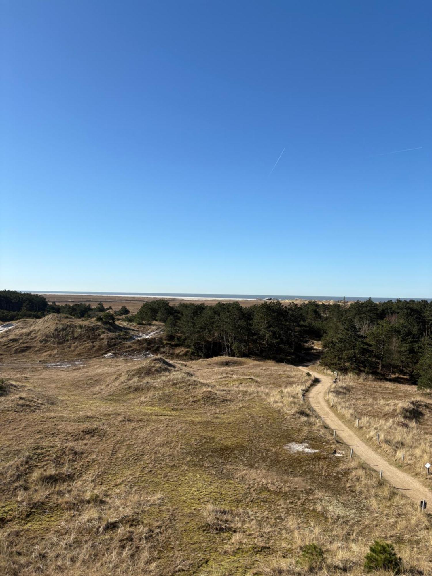 Grosszuegiges Apartment In Strandnaehe Im Herzen St. Peter-Ordings Sankt Peter-Ording Eksteriør billede